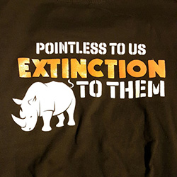 Rhino Extinction